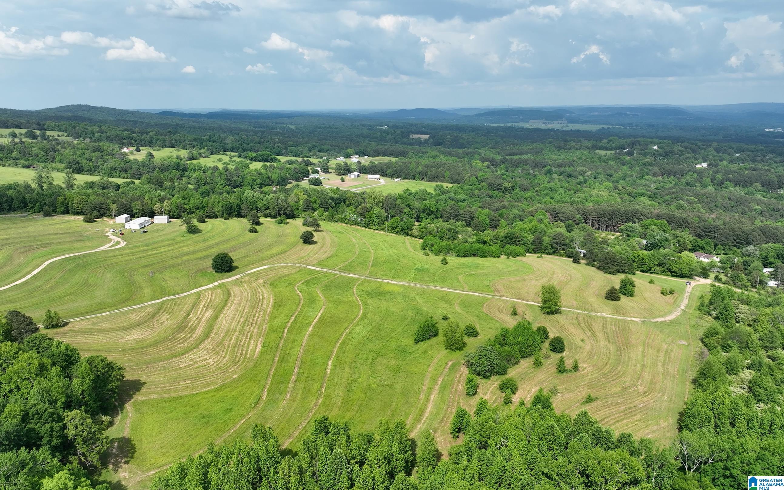 1895 Marvin Adcock Road, Unit 9 ACRES Hayden, AL 35079 - Photo 10 of 18
