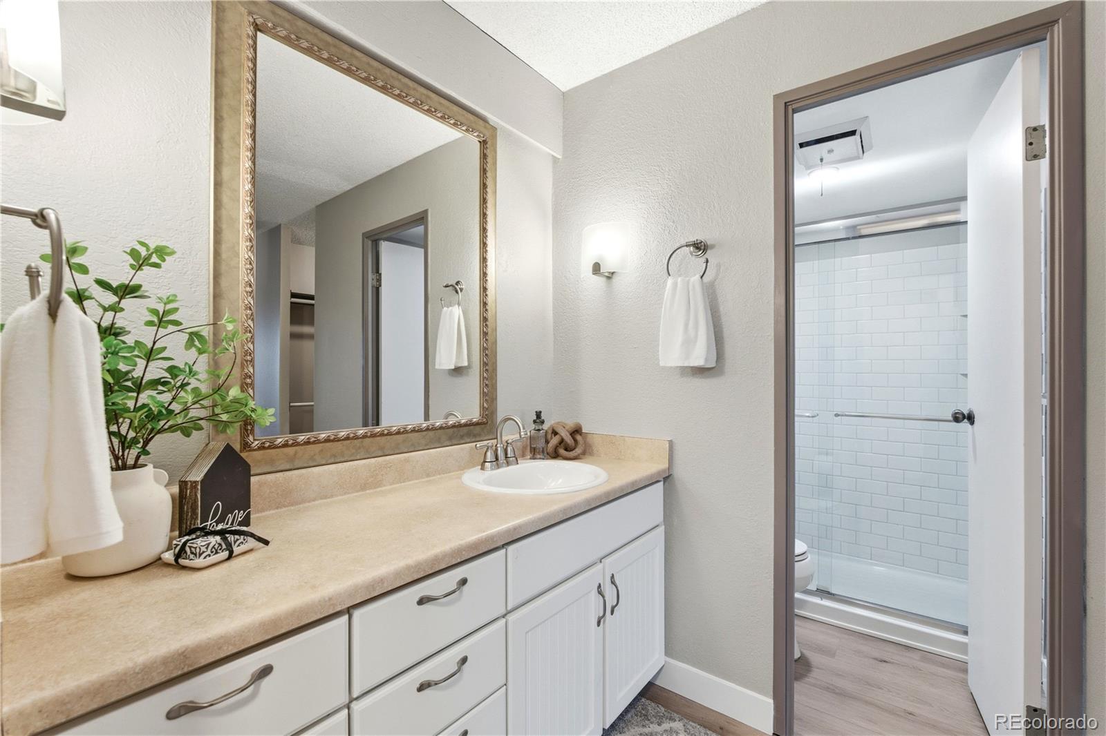 2880 South Locust Street, Unit 200S Denver, CO 80222 - Photo 18 of 43 a bathroom with a sink a mirror and a potted plant