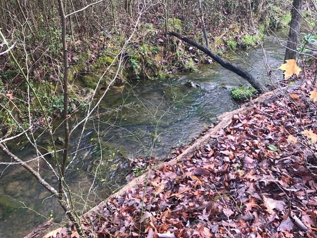 0 Hanes Road Northeast Ranger, GA 30734 - Photo 1 of 1