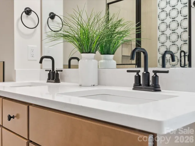 a kitchen with a sink and a potted plant