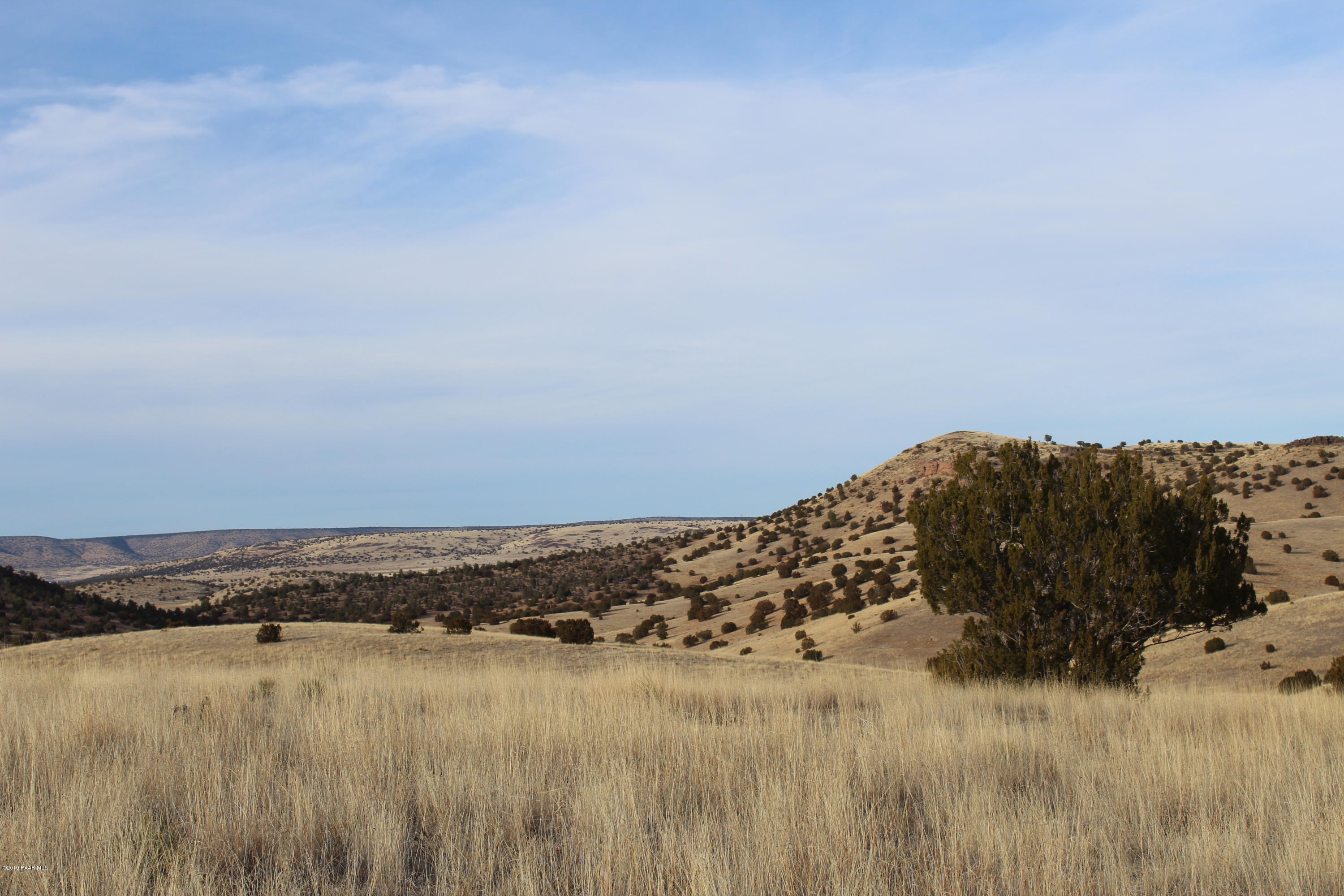 430 Williamson Valley Road Seligman, AZ 86337 - Photo 1 of 12 IMG_0303