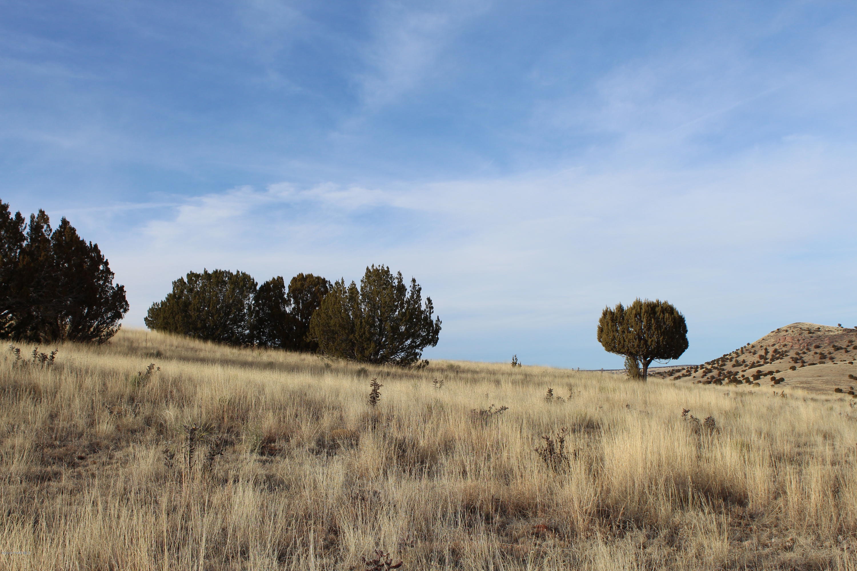 430 Williamson Valley Road Seligman, AZ 86337 - Photo 8 of 12 IMG_0292