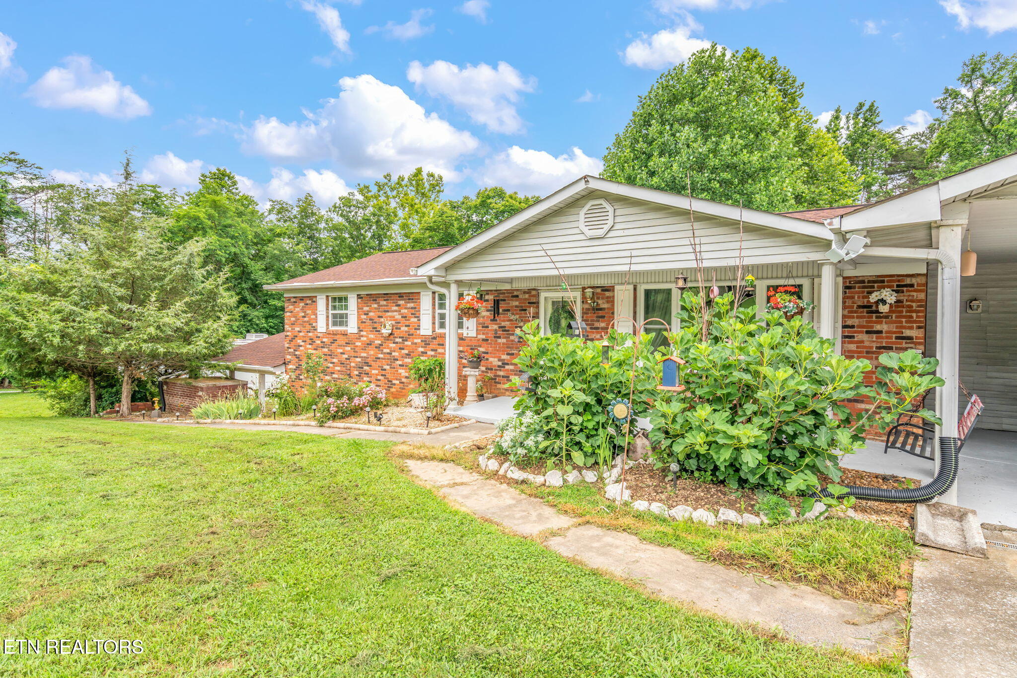 6901 Texas Valley Road Knoxville, TN 37938 - Photo 3 of 60 3-web-or-mls-6901 Texas Valley Road-38