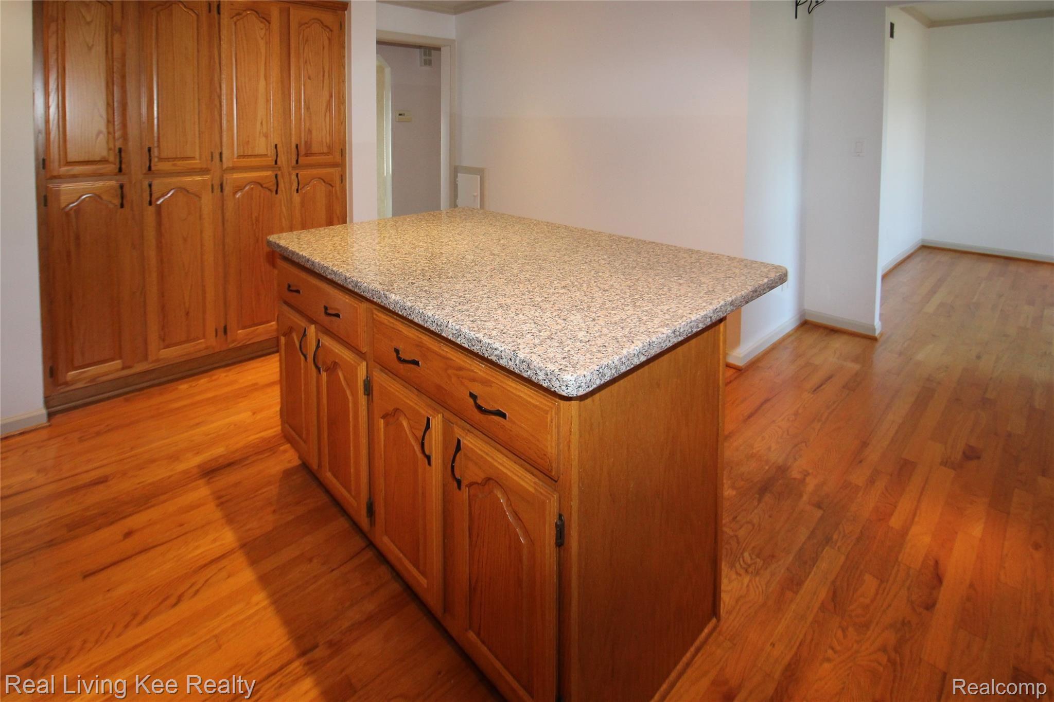 305 East Webster Road Royal Oak, MI 48073 - Photo 6 of 51 IMG_5876.jpg