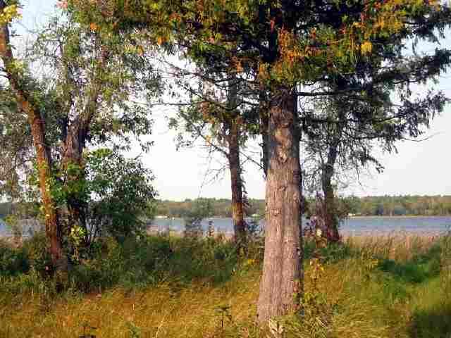 Lot 2 Point Road Backus, MN 56435 - Photo 1 of 1 Gallery Image 1