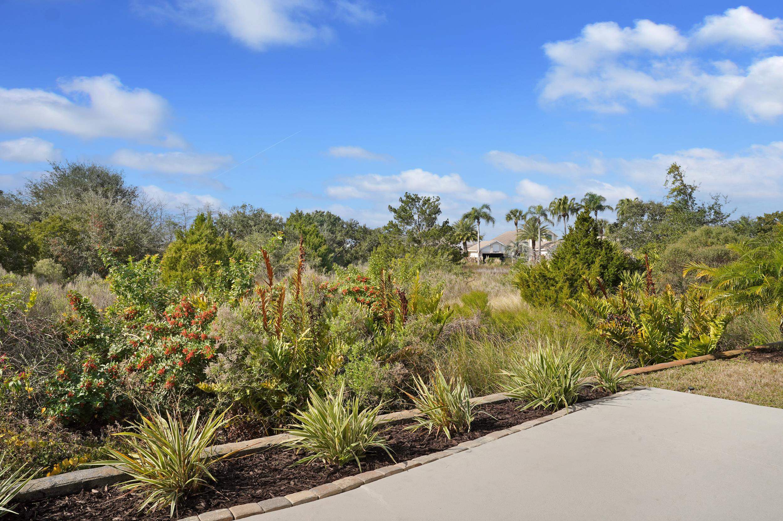 101 Marsh Place North St. Augustine, FL 32080 - Photo 32 of 42 a view of a garden