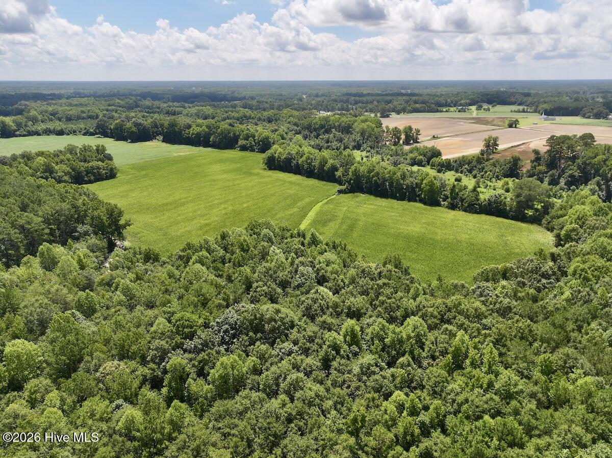 Lot 3 Mobley Road Lucama, NC 27851 - Photo 3 of 34 3