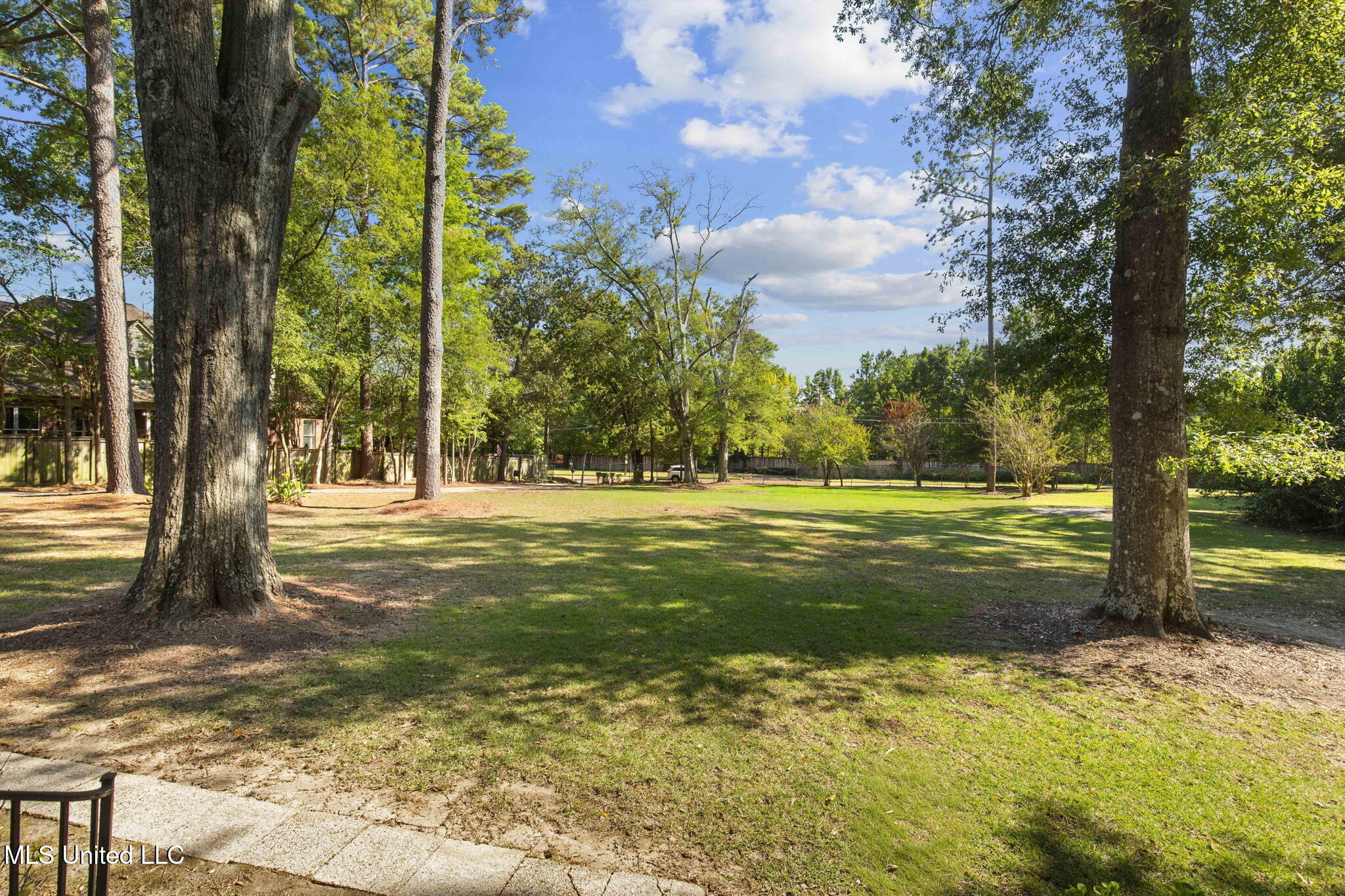 4019 Old Canton Road Jackson, MS 39216 - Photo 69 of 82 82-web-or-mls-4019 Old Canton-82
