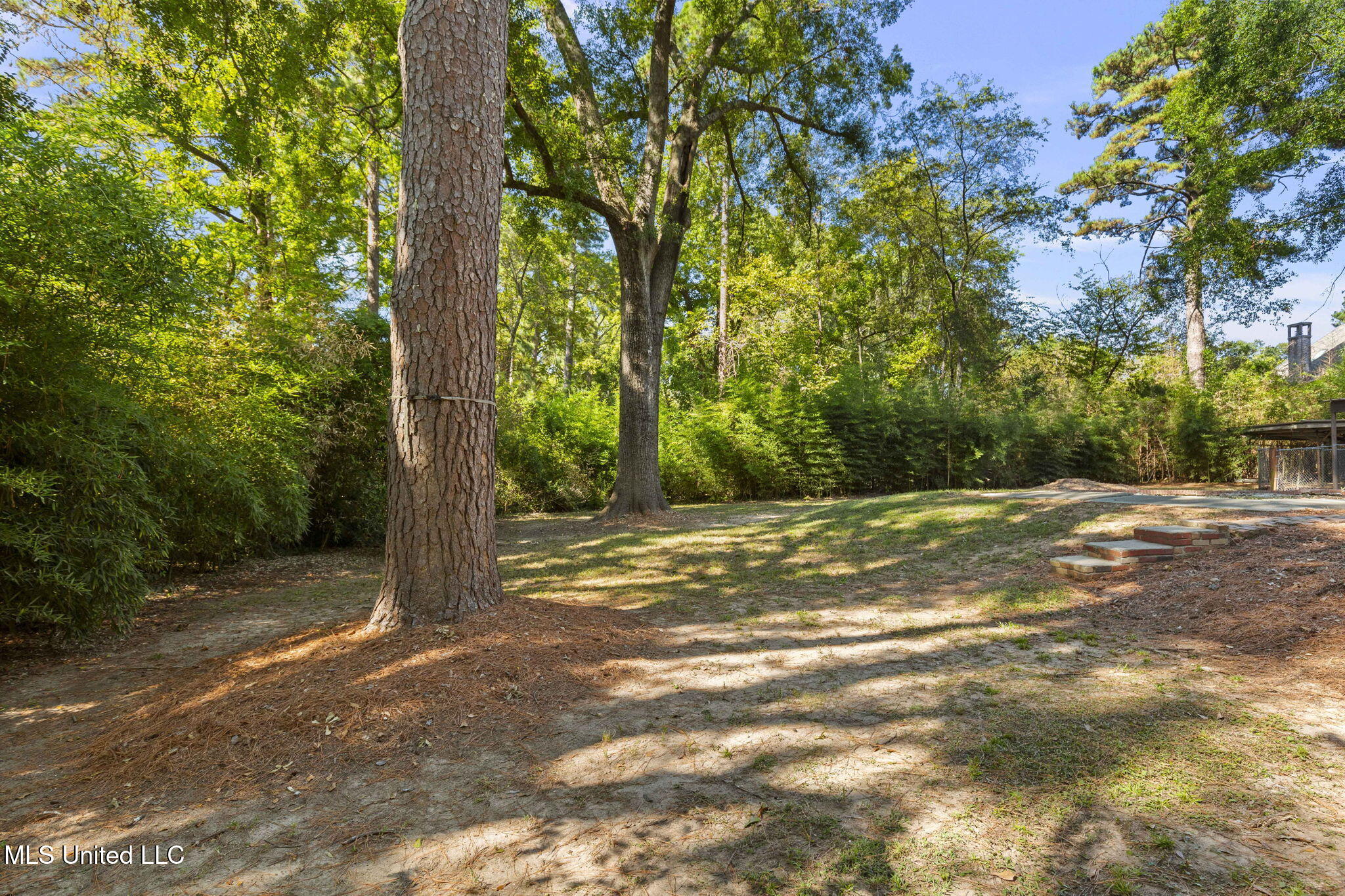 4019 Old Canton Road Jackson, MS 39216 - Photo 81 of 82 70-web-or-mls-4019 Old Canton-70