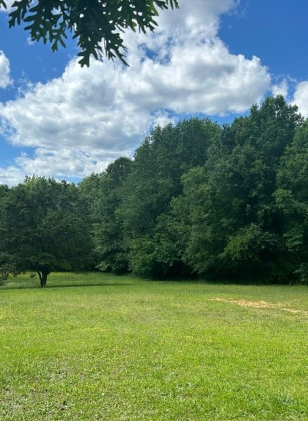 222 Scruggs Road Chesnee, SC 29323 - Photo 1 of 2
