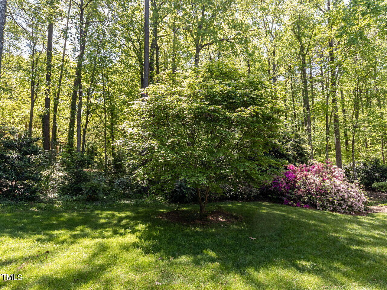 315 King George Loop Cary, NC 27511 - Photo 36 of 39 a view of a garden with plants and large trees