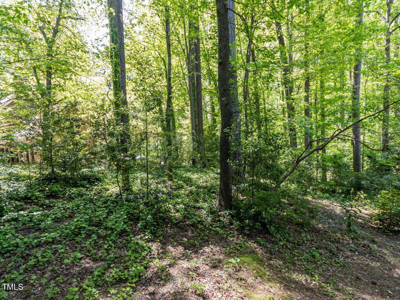 315 King George Loop Cary, NC 27511 - Photo 37 of 39 a view of a forest with lots of trees