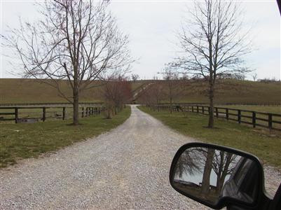 435 Stone Road Paris, KY 40361 - Photo 23 of 23 Tree lined drive. View from the front o