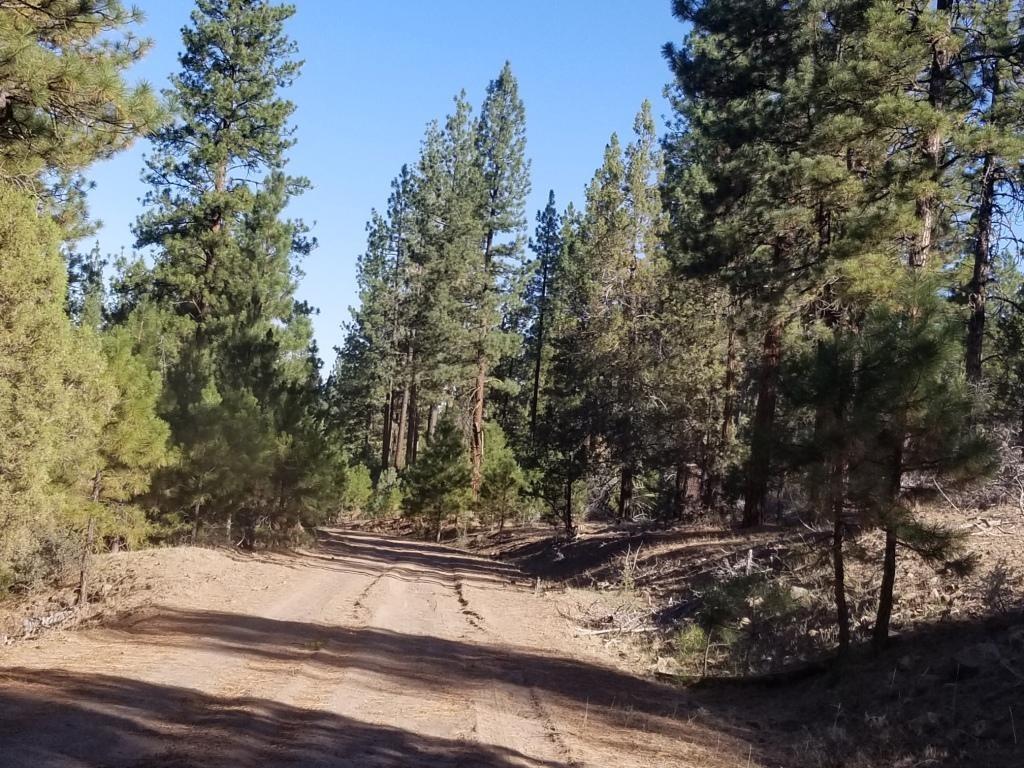 Nsa Anderson Ranch Road McArthur, CA 96056 - Photo 11 of 12 NSA Anderson 2