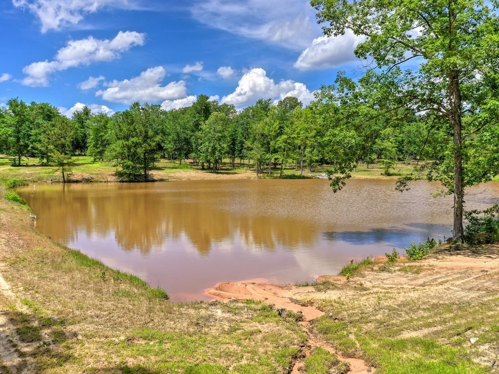 3 Old Dibble Road Aiken, SC 29803 - Photo 7 of 9