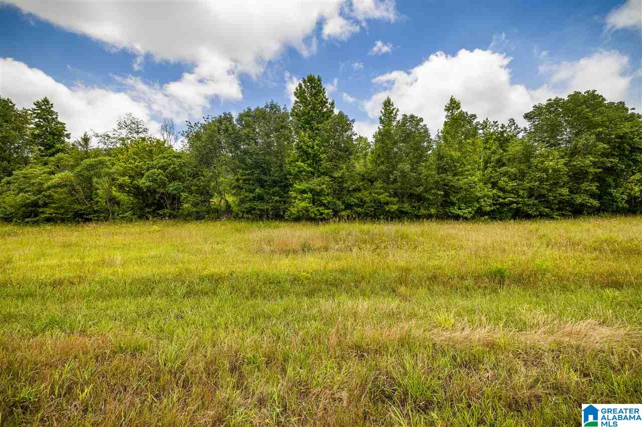 0 Highway 75, Unit 5032 Oneonta, AL 35121 - Photo 2 of 18