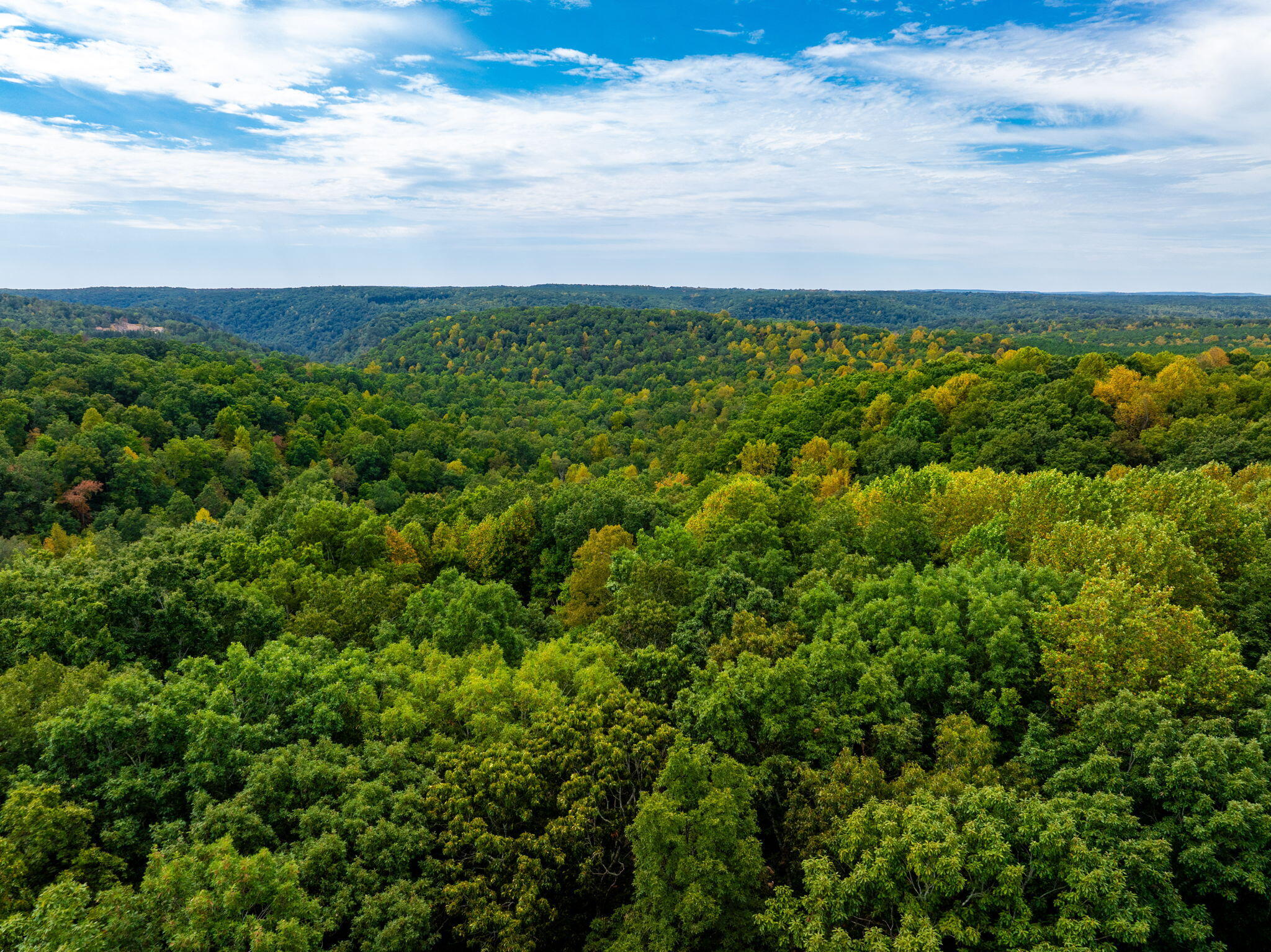 585 Shaver Road Dayton, TN 37321 - Photo 27 of 44 24-web-or-mls-DJI_20240904120840_0219_D-