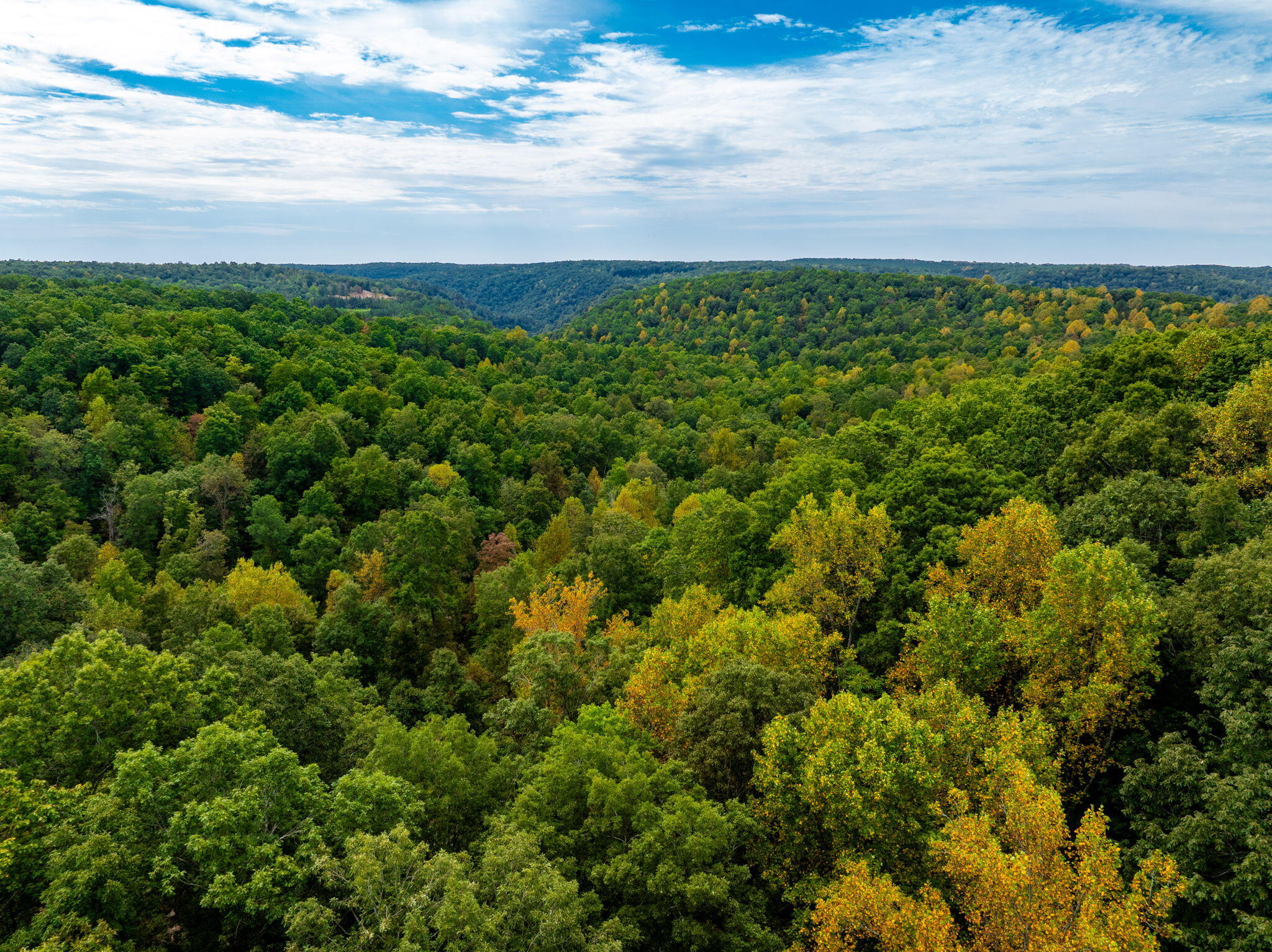 585 Shaver Road Dayton, TN 37321 - Photo 35 of 44 32-web-or-mls-DJI_20240904121135_0226_D-