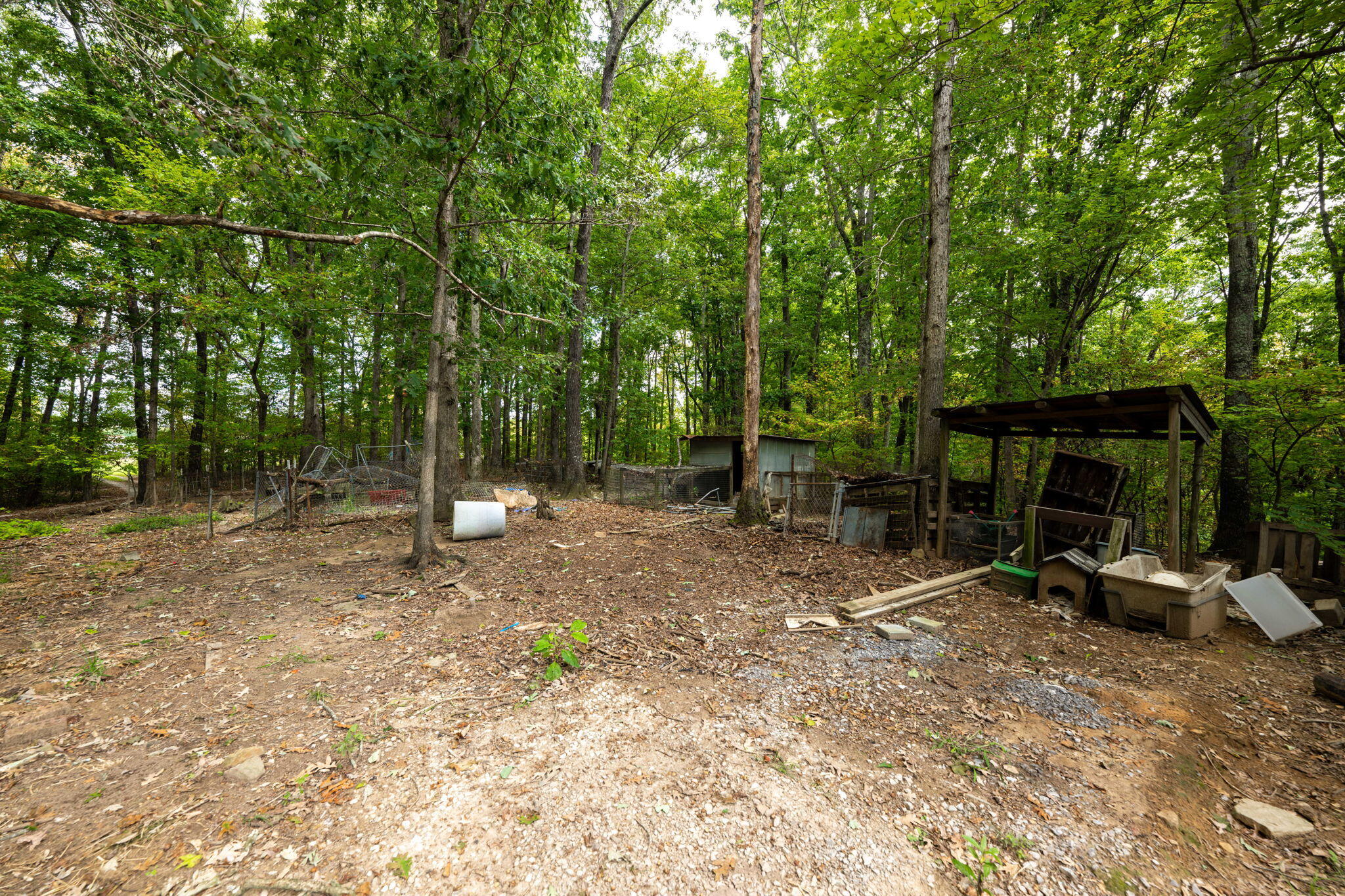 585 Shaver Road Dayton, TN 37321 - Photo 36 of 44 33-web-or-mls-DSC_5537-198