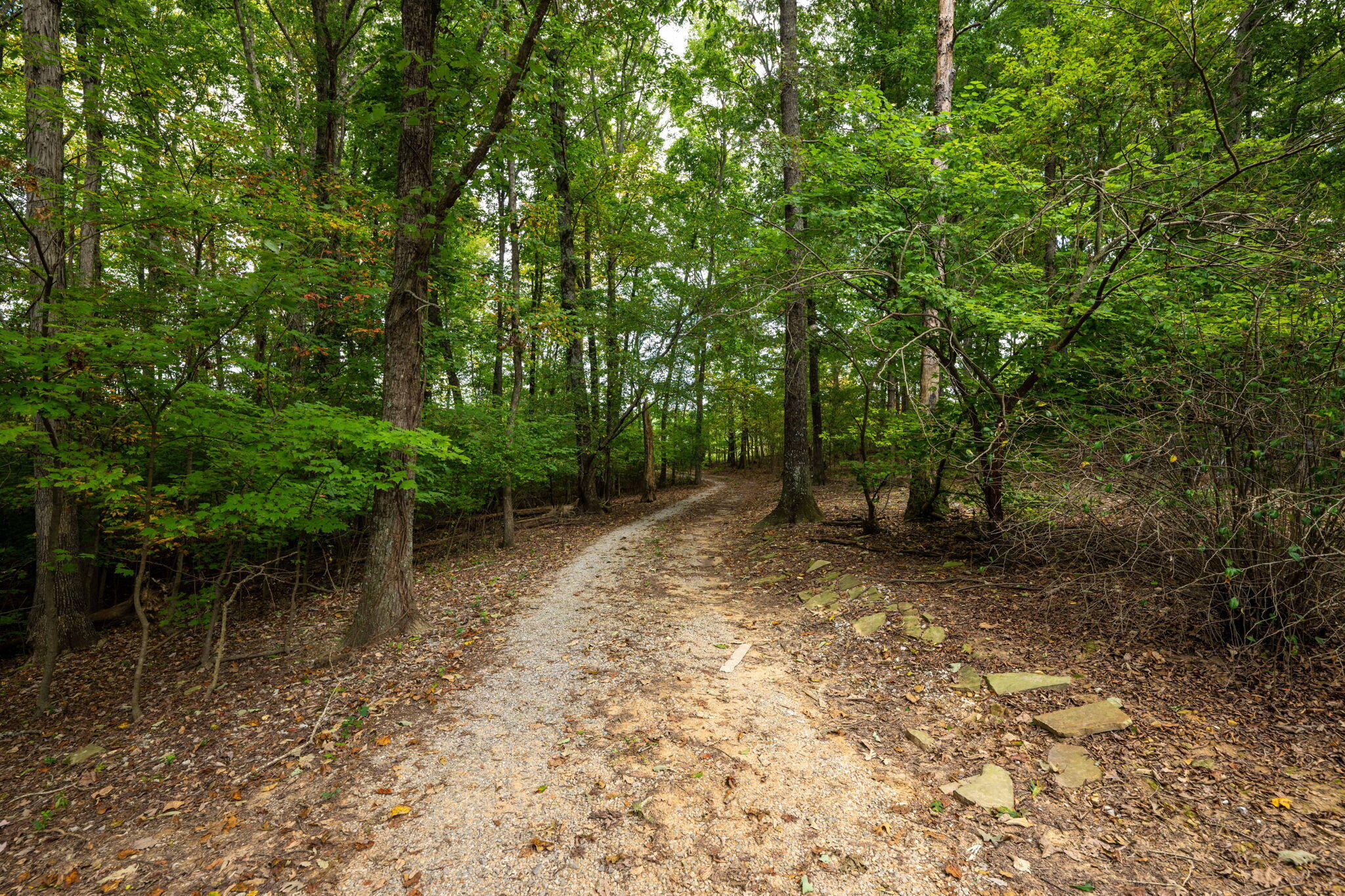 585 Shaver Road Dayton, TN 37321 - Photo 37 of 44 34-web-or-mls-DSC_5538-135