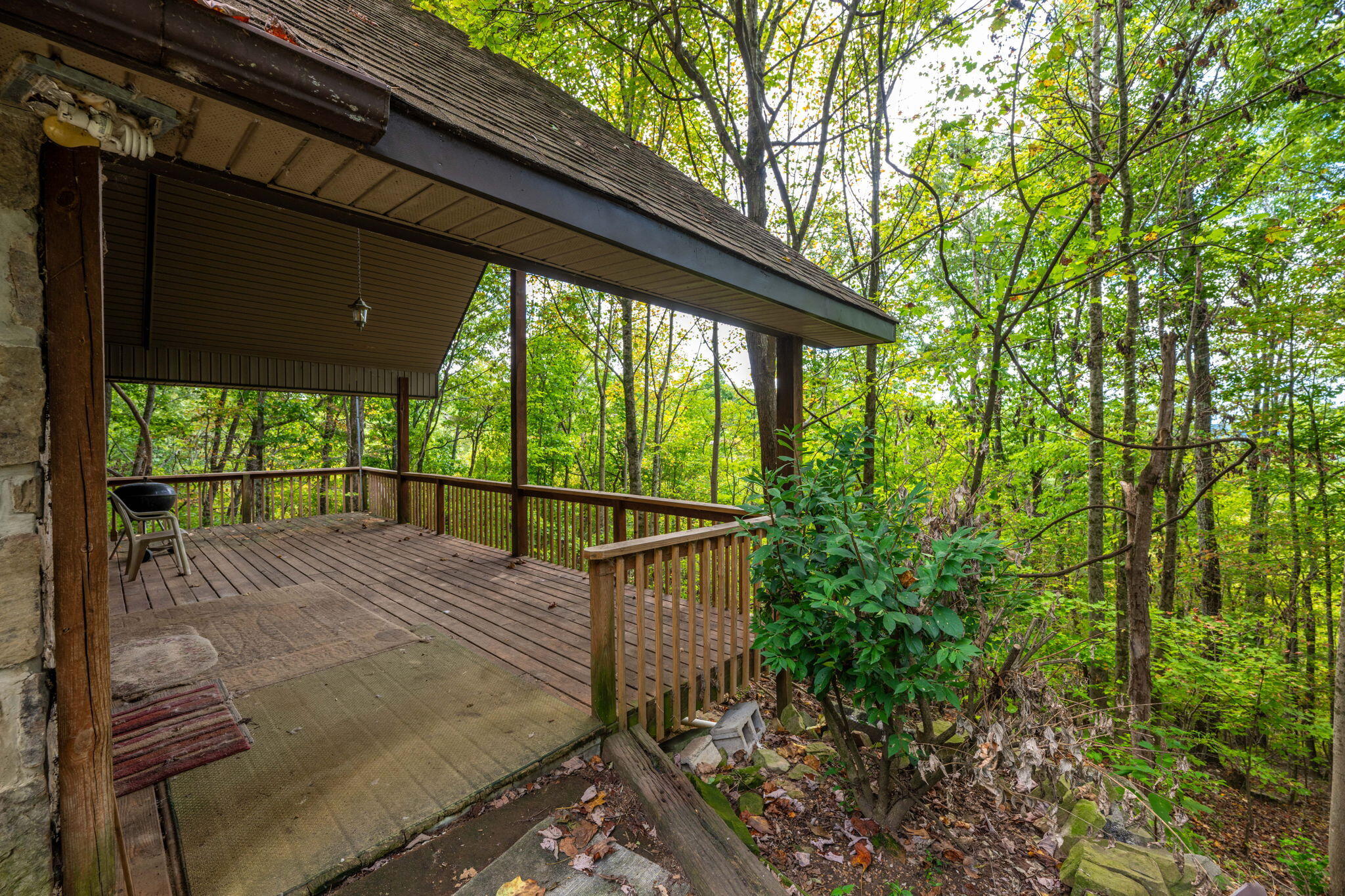 585 Shaver Road Dayton, TN 37321 - Photo 41 of 44 39-web-or-mls-DSC_5543-140