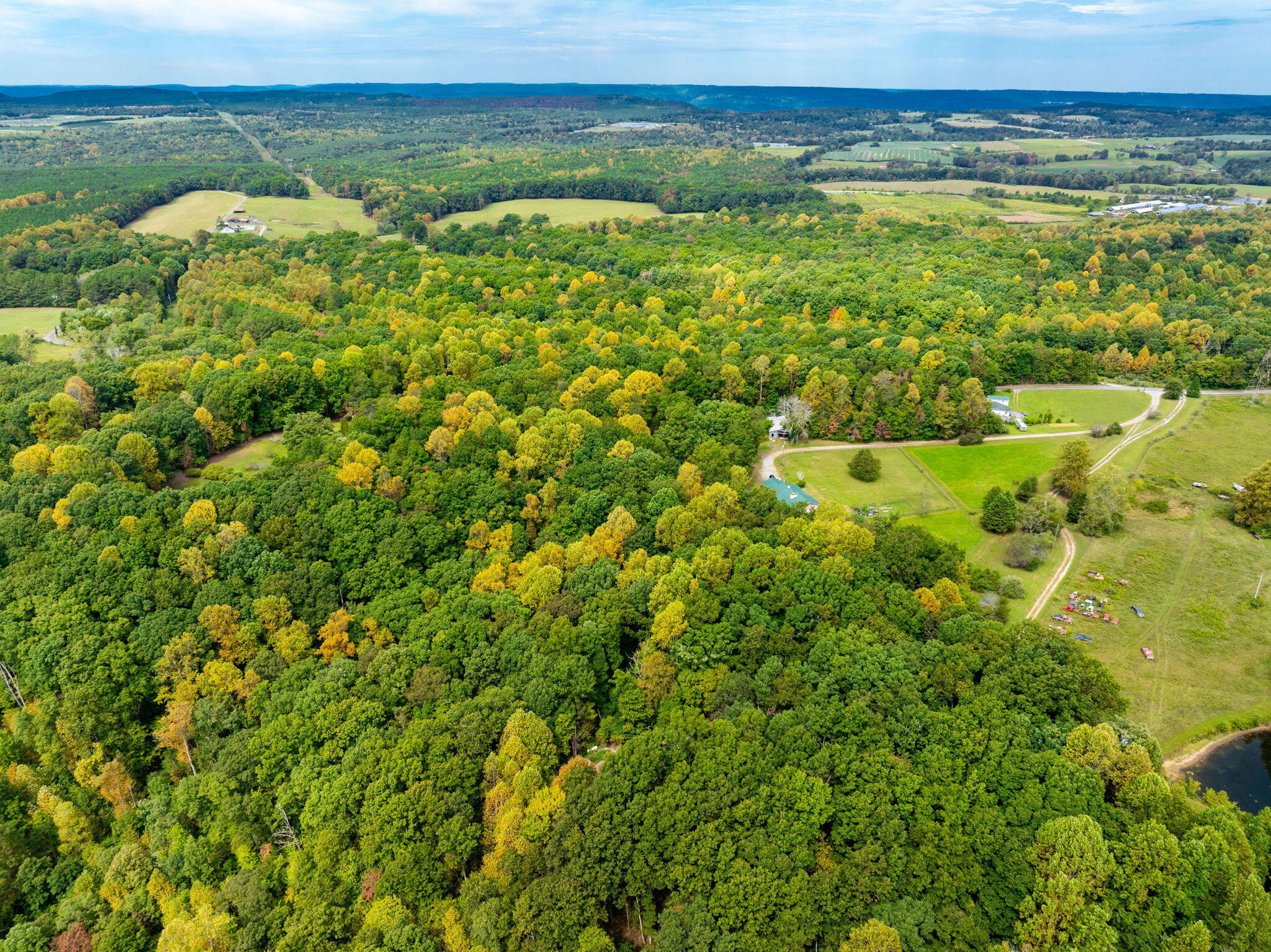 585 Shaver Road Dayton, TN 37321 - Photo 6 of 44 3-web-or-mls-DJI_20240904120003_0197_D-2