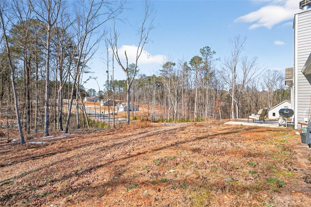 142 Rolling Wds Lane Colbert, GA 30628 - Photo 14 of 34 a view of a yard with snow on the road