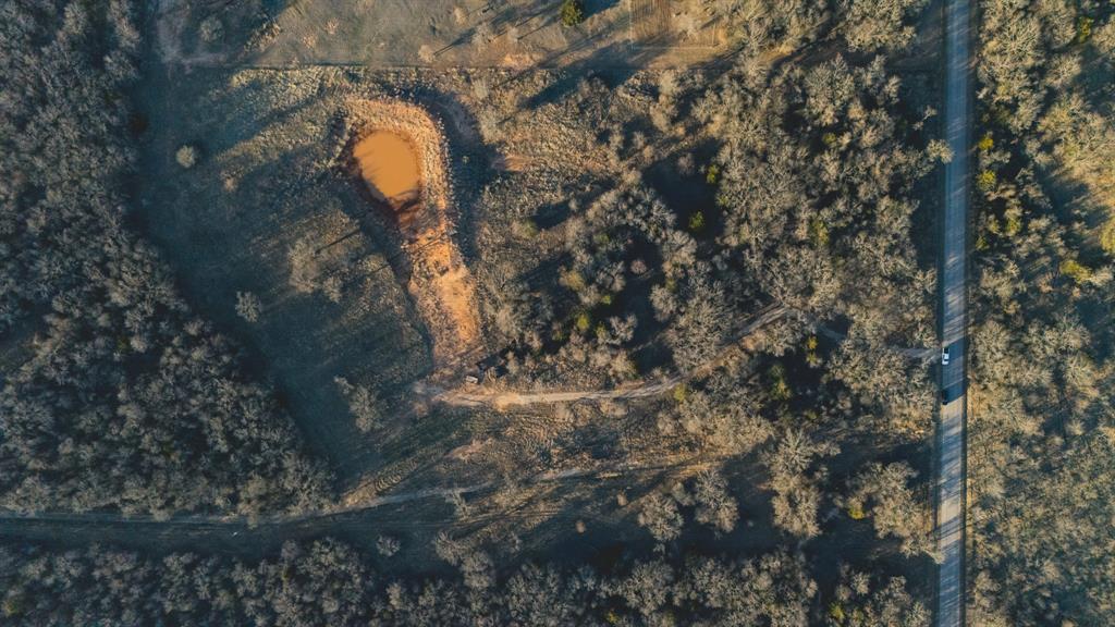800 County Road 3519 Bridgeport, TX 76426 - Photo 6 of 9 a close up of a tree