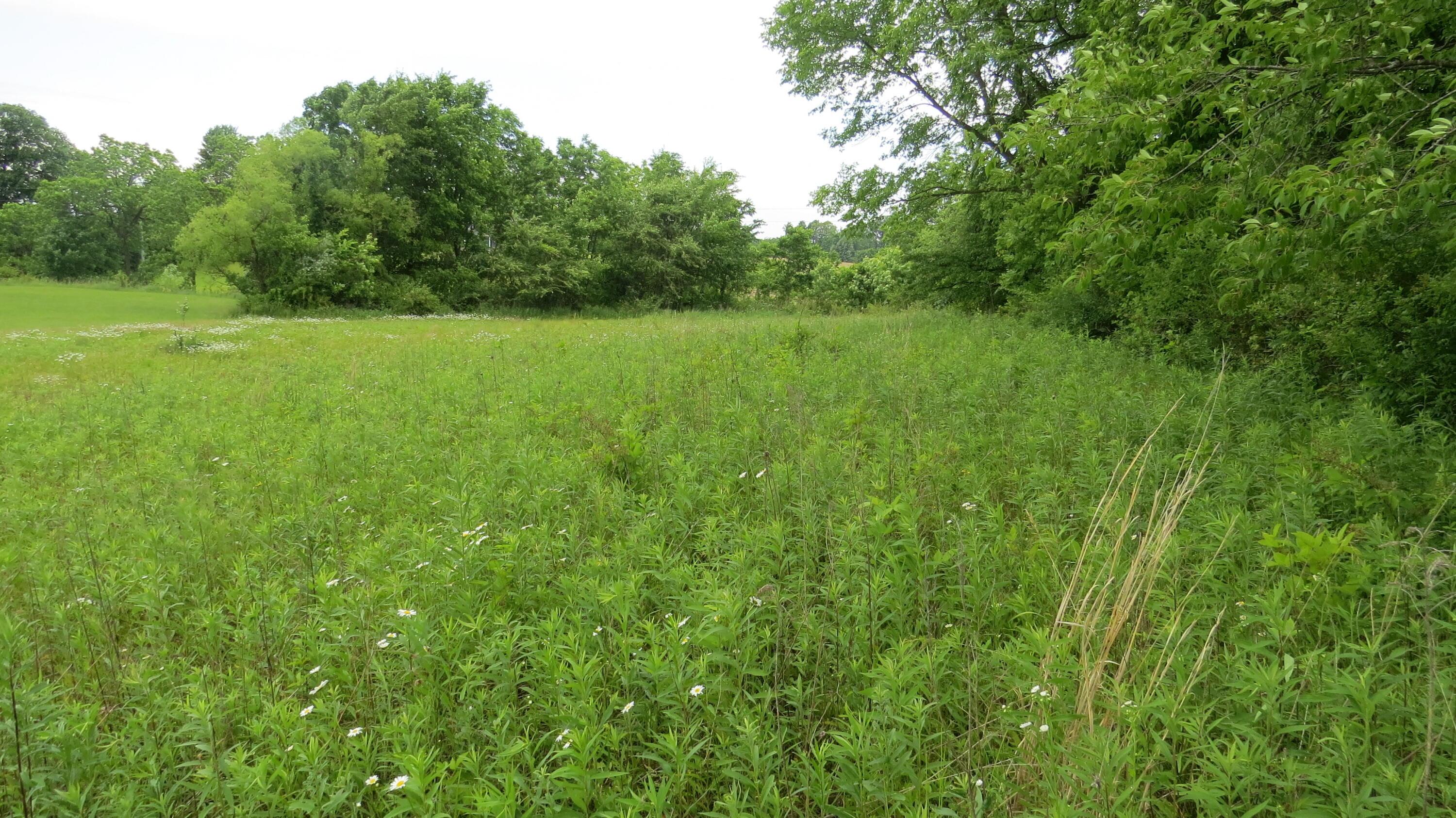 9730 Butcher Road Mount Vernon, OH 43050 - Photo 3 of 6 3) 74307-6a550c021f2e2