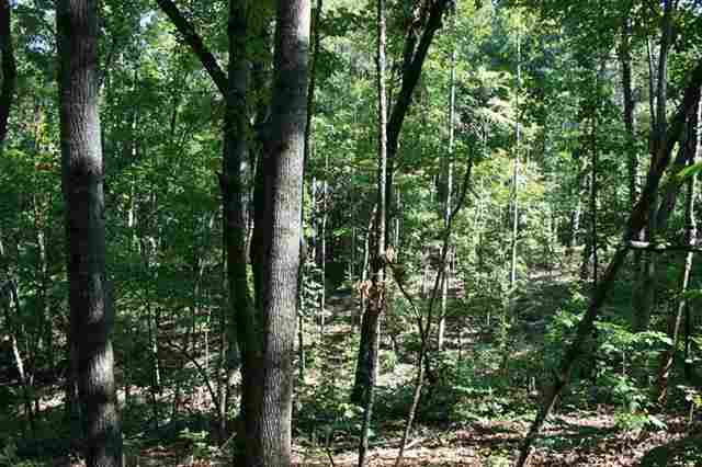 10 Hidden Harbor Seneca, SC 29678 - Photo 12 of 25 Gallery Image 12