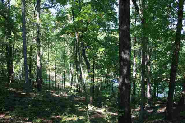 10 Hidden Harbor Seneca, SC 29678 - Photo 14 of 25 Gallery Image 14