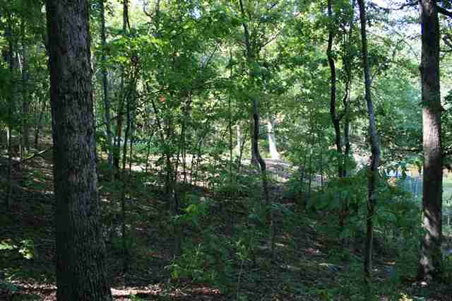 10 Hidden Harbor Seneca, SC 29678 - Photo 17 of 25 Gallery Image 17