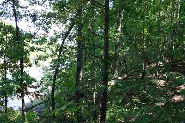 10 Hidden Harbor Seneca, SC 29678 - Photo 20 of 25 Gallery Image 20