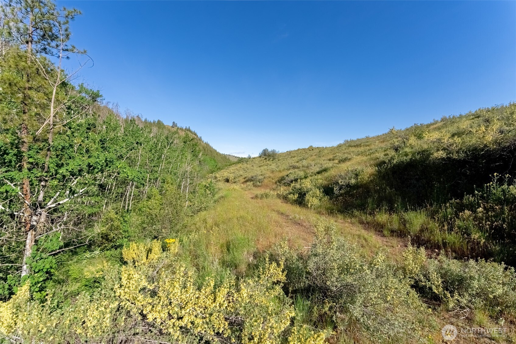-tbd Alder Road Twisp, WA 98856 - Photo 39 of 39