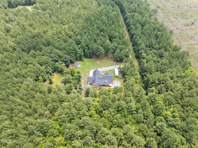 a view of a yard with plants and large trees