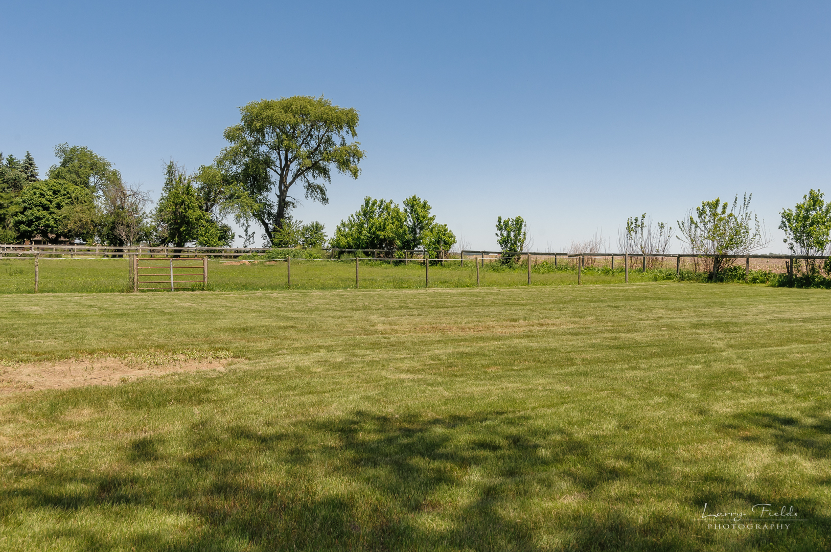 14725 Sears Road Plano, IL 60545 - Photo 26 of 26 a large yard with lots of green space and trees in the background