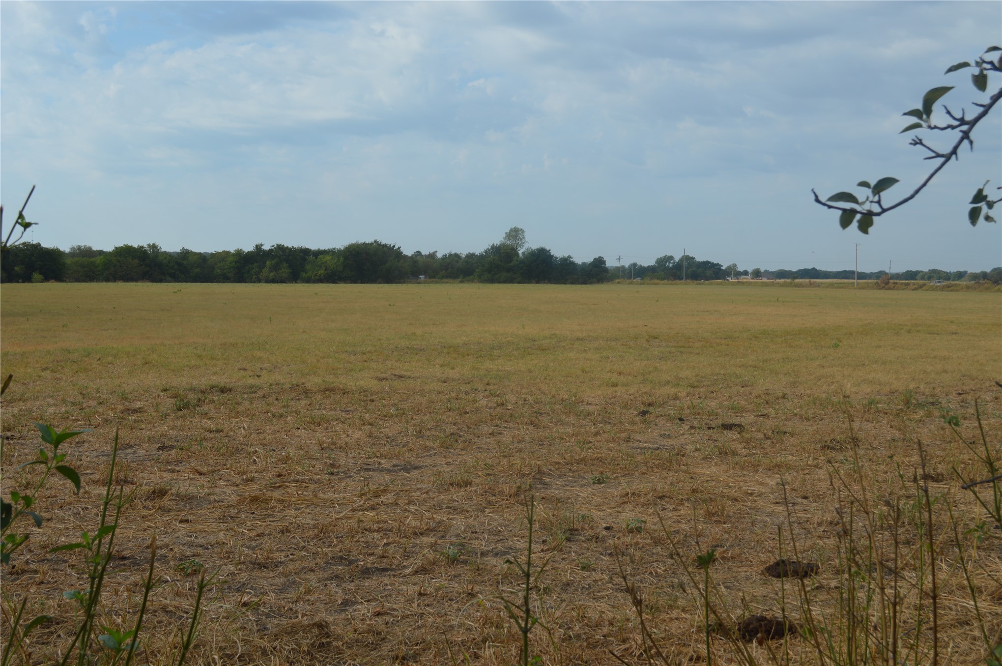 0 Page Road Kingston, OK 73439 - Photo 4 of 9 Expansive open field with a tree line in the distance