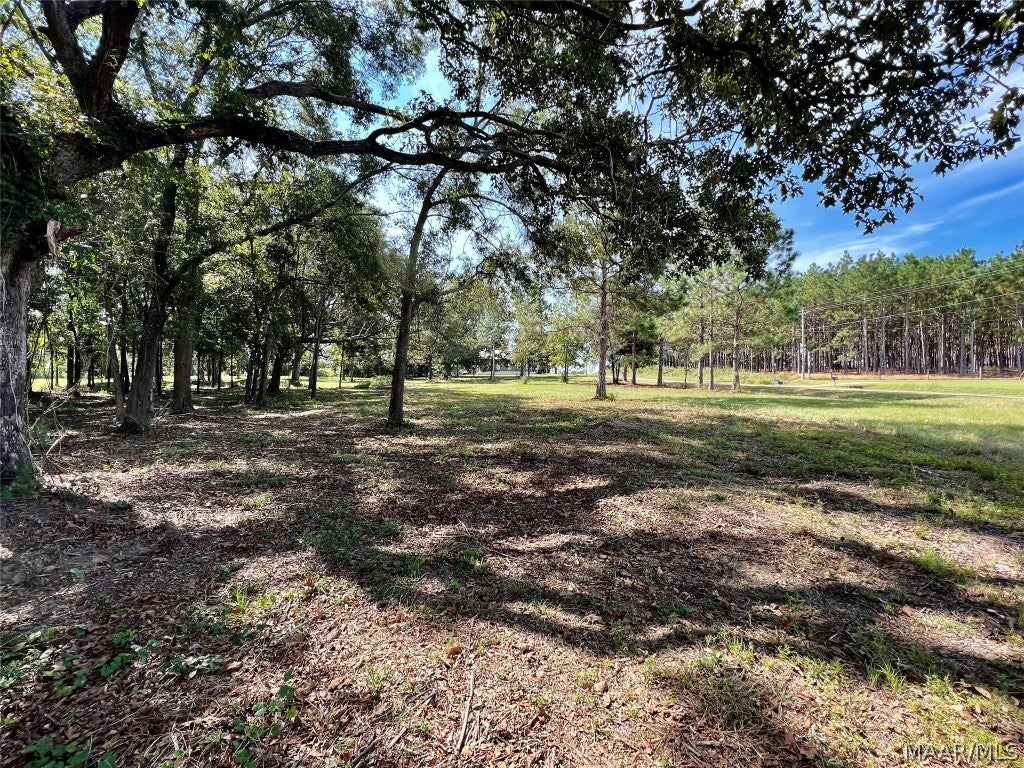 49 Slocomb Al Slocomb, AL 36375 - Photo 14 of 19 Gallery Image 14