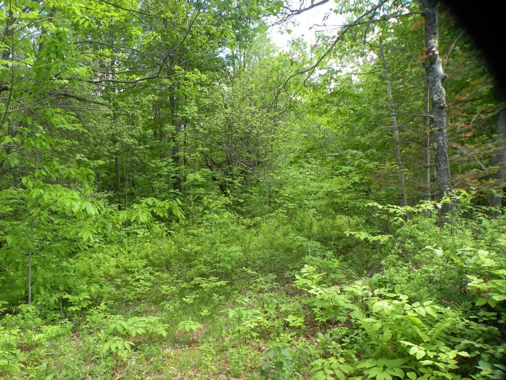 0 Ryerson Hill Road South Paris, ME 04281 - Photo 5 of 9 Photo