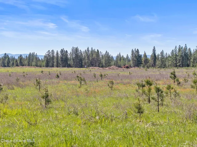 $1,143,496 | 3 Ellington Court, Rathdrum, ID 83858