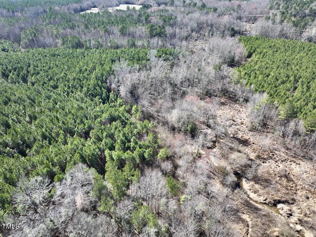 9 Peachtree Hills Road Spring Hope, NC 27882 - Photo 11 of 25 11