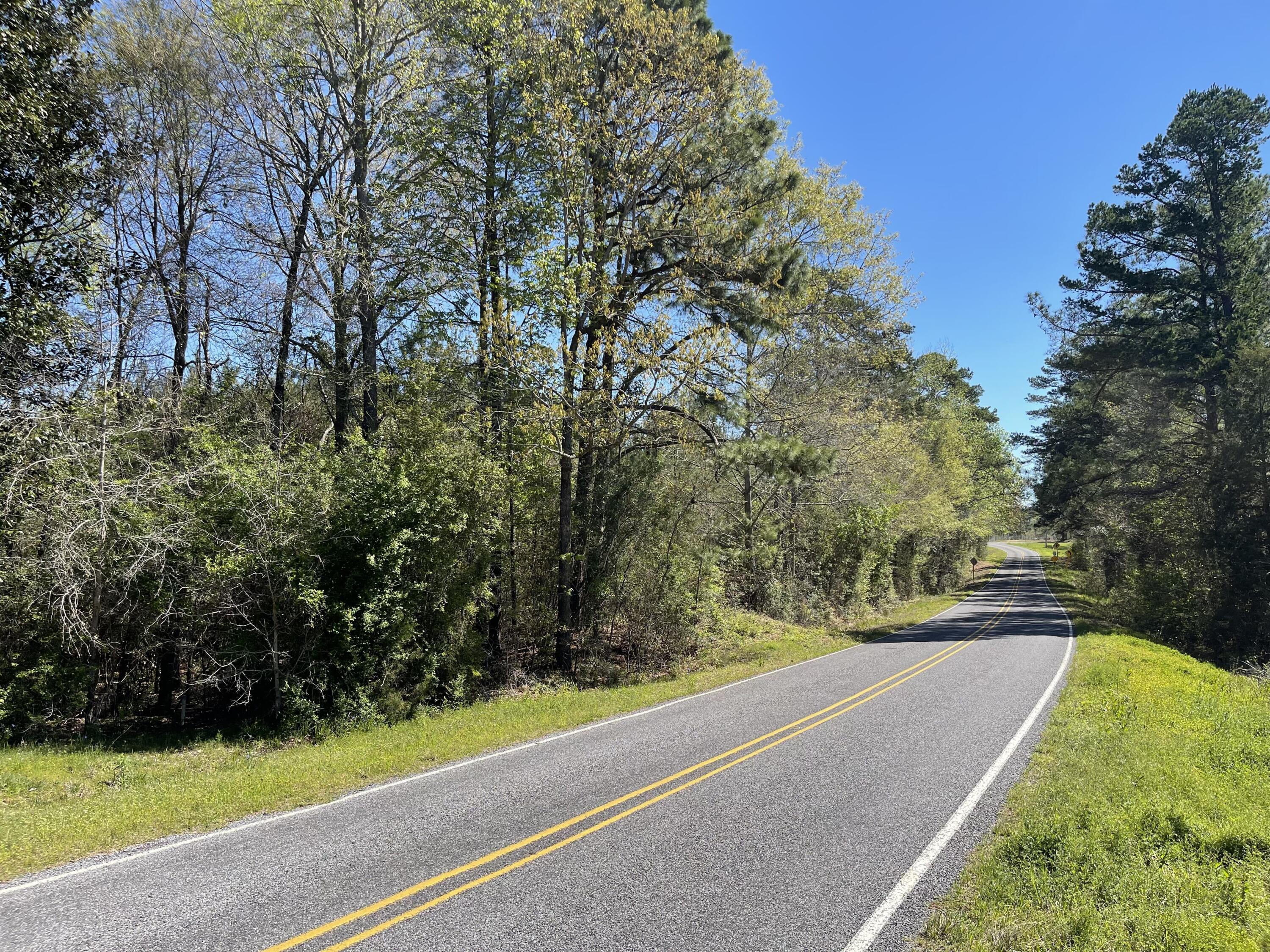 0 Shivers Road Pinola, MS 39149 - Photo 5 of 5 IMG_4275-min