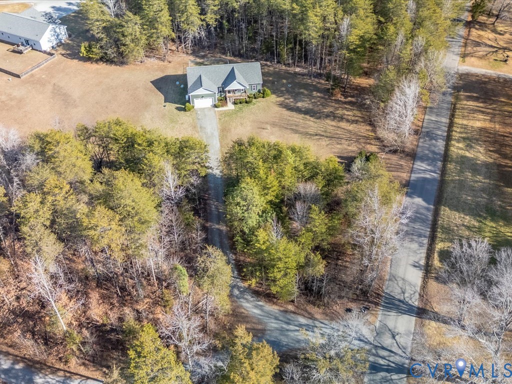 2806 Perkinsville Road Maidens, VA 23102 - Photo 35 of 38 a view of a yard with plants and trees