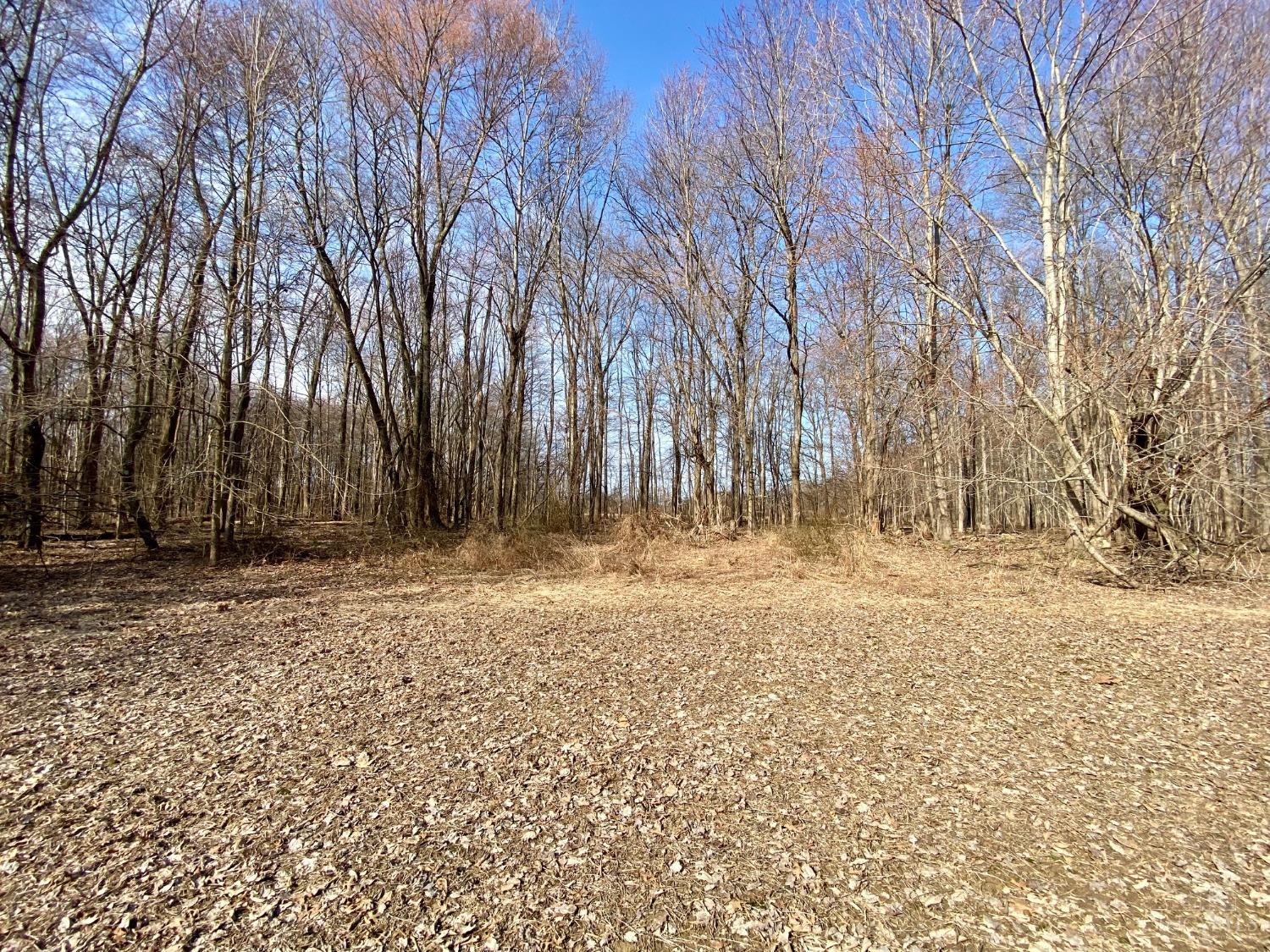 Ac Ac Goodwin Schoolhouse Road Bethel, OH 45106 - Photo 2 of 15