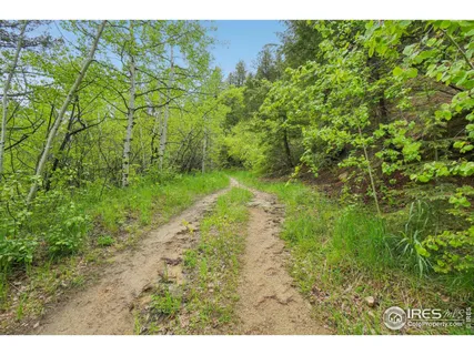 $625,000 | 8493 Lefthand Canyon Drive, Jamestown, CO 80455