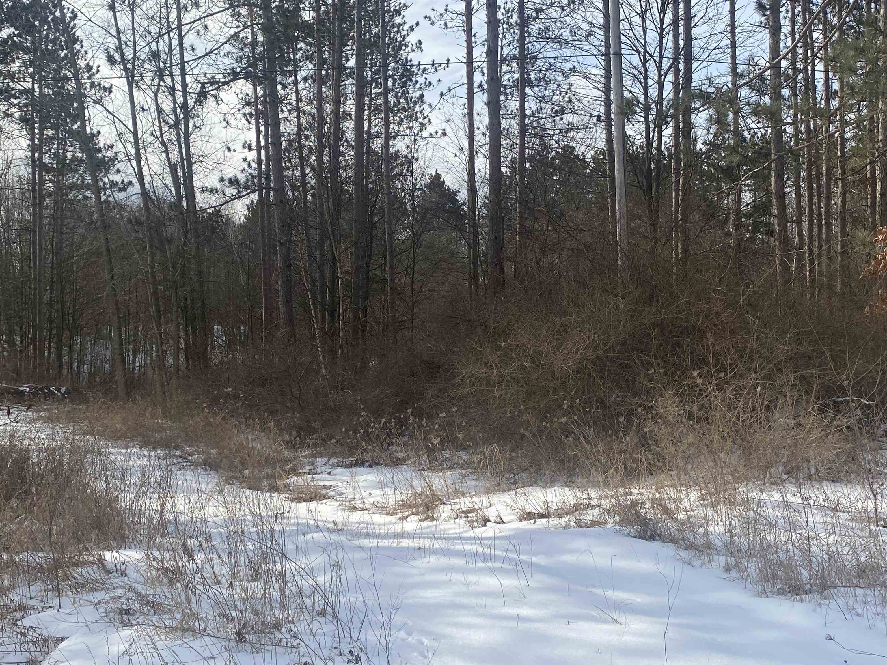 Tbd West Tbd W Remus Road Remus, MI 49340 - Photo 4 of 11 1897555-3.JPG