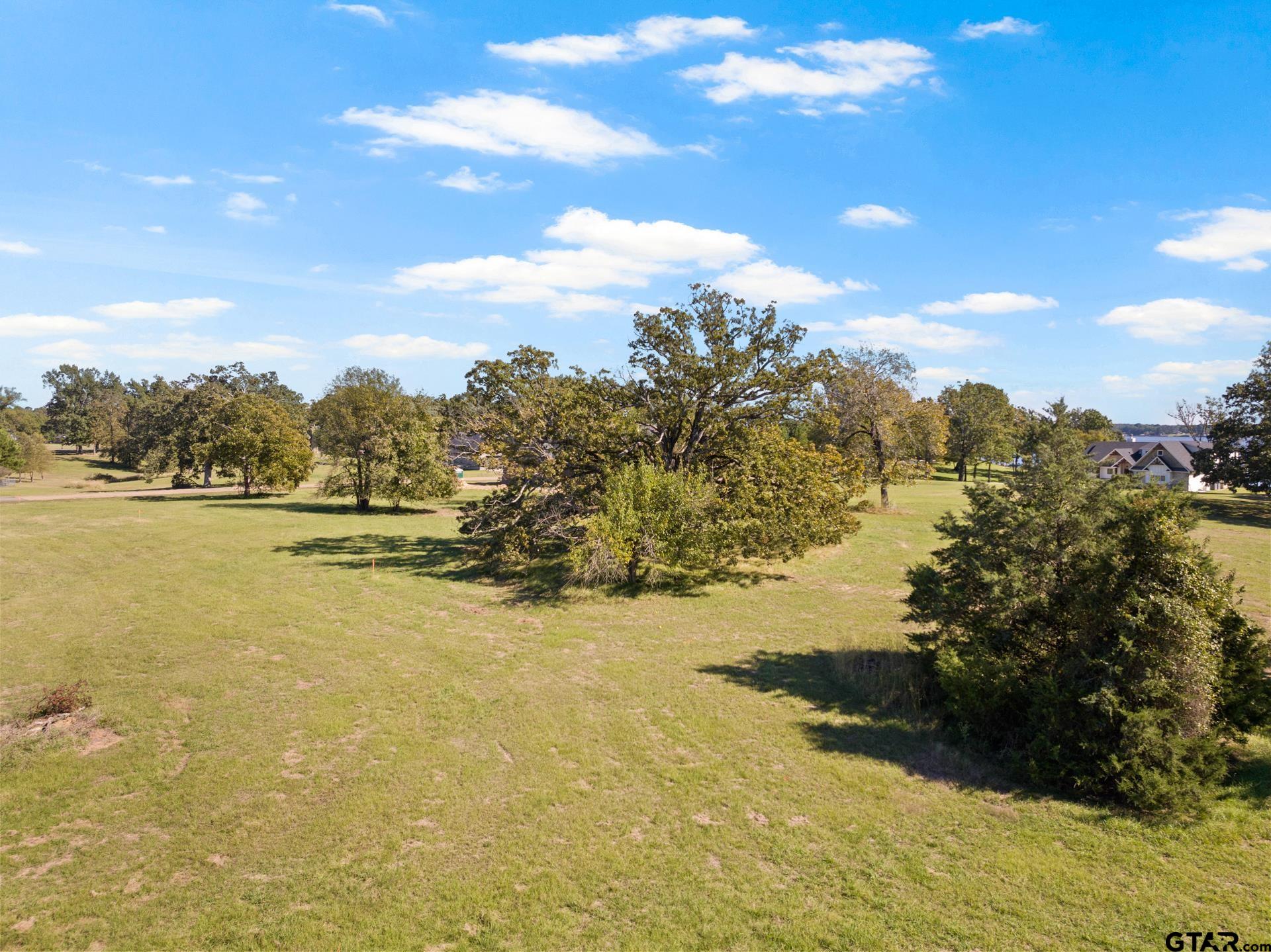 Lot 26 Private Road Mount Pleasant, TX 75455 - Photo 8 of 20