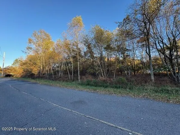 a view of a field