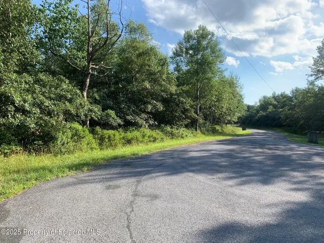 a view of a yard with plants and trees