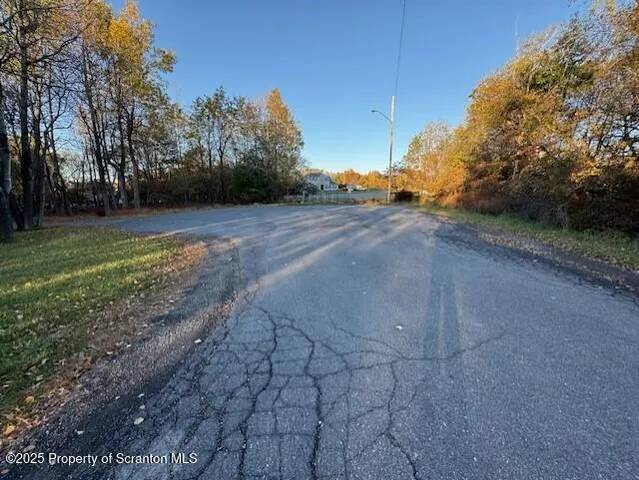 a view of a yard with large trees